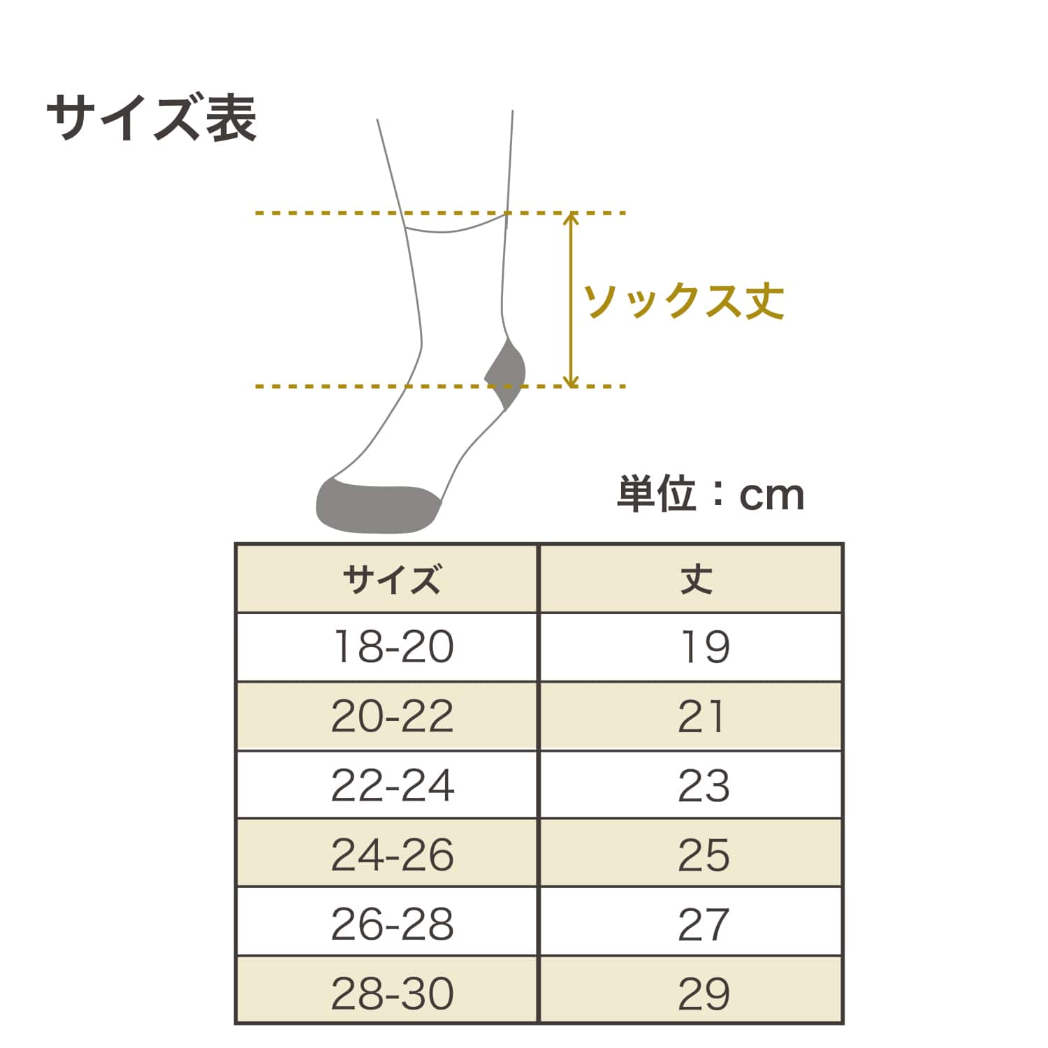 サイズ表