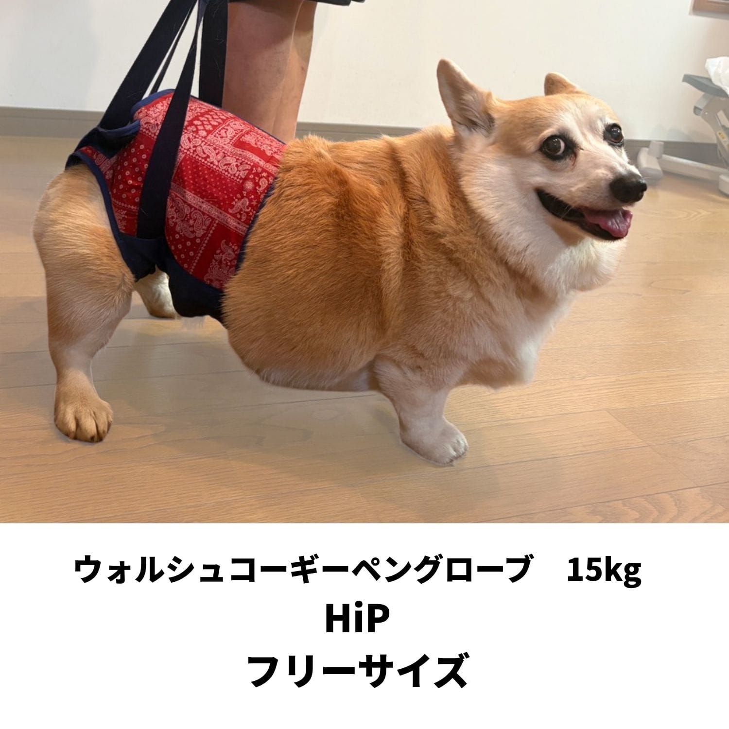Hip スカーレットメッシュ | 歩行補助ハーネス LaLaWalk
