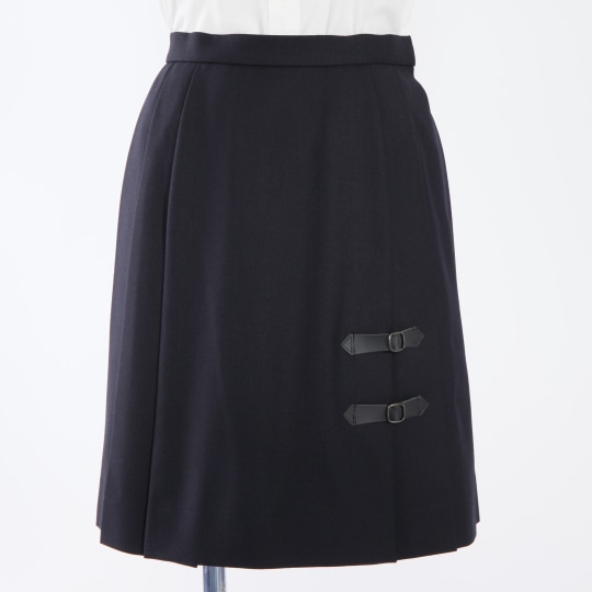 hako☆パネルスカート 手洗い可能》エステルスパンパネルスカート/le.coeur blanc(ルクール