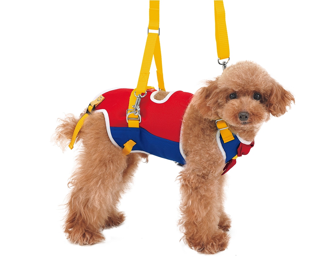 小型犬用  ヒロイン【在庫限り】