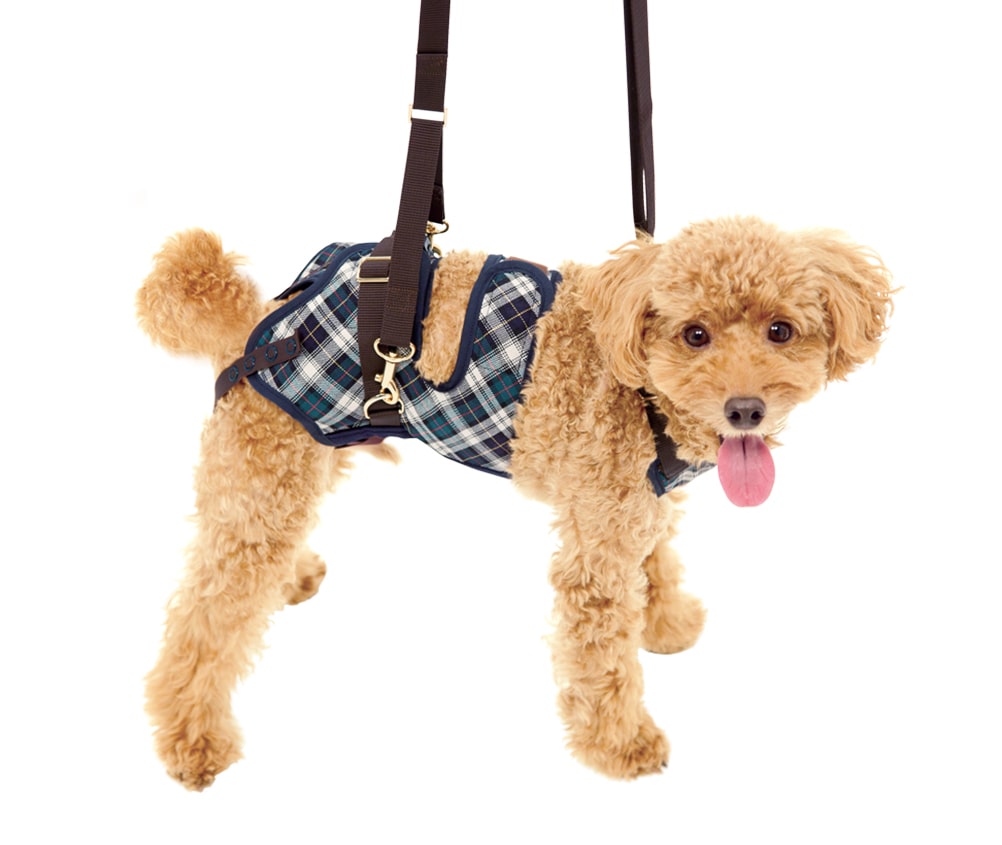 小型犬用  緑チェック【在庫限り】