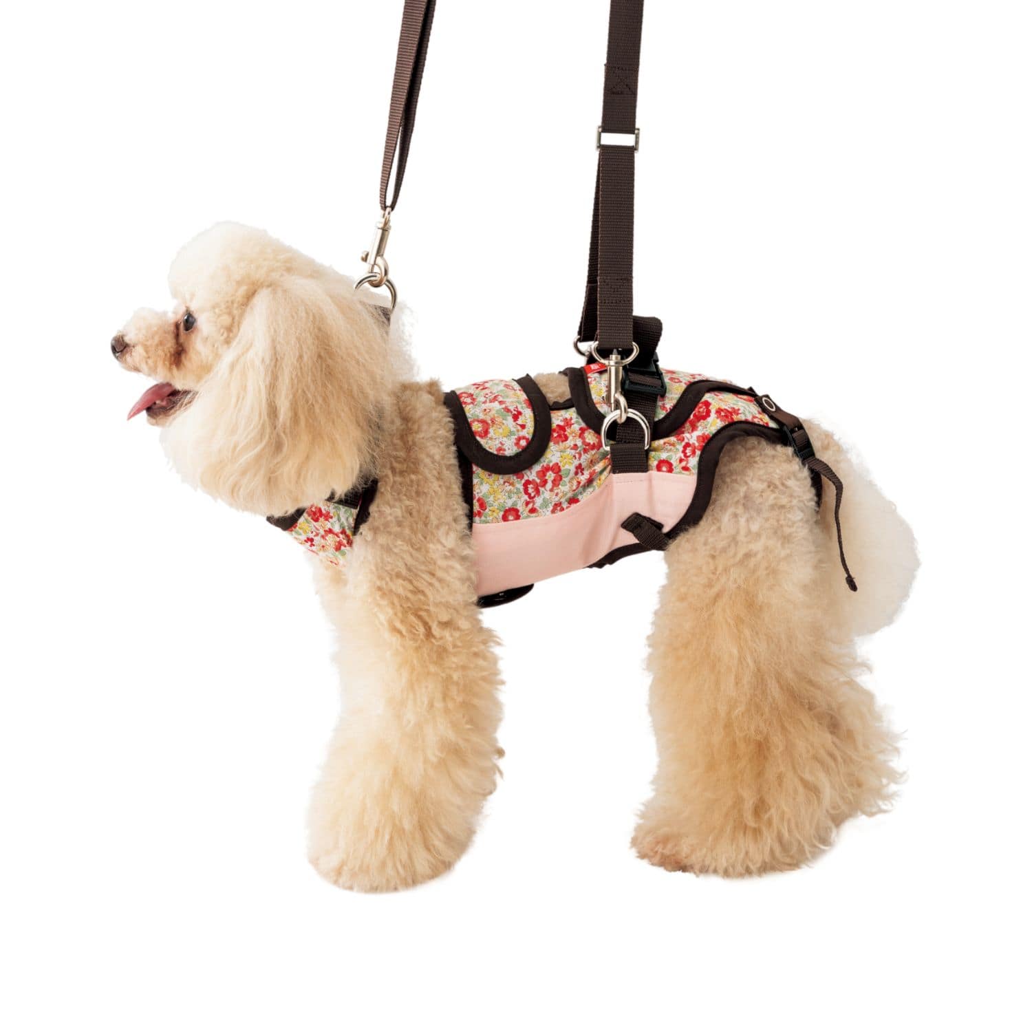 フラつく小型犬をオシャレにする歩行補助ハーネス｜【トンボ公式