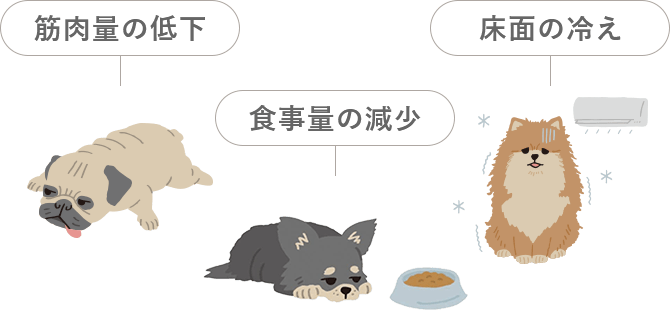 筋肉量の低下、食事量の現象、底面の冷え