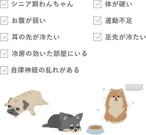 シニア期わんちゃん、お腹が弱い、耳の先が冷たい、冷房の効いた部屋にいる、自律神経の乱れがある、体が硬い、運動不足、足先が冷たい