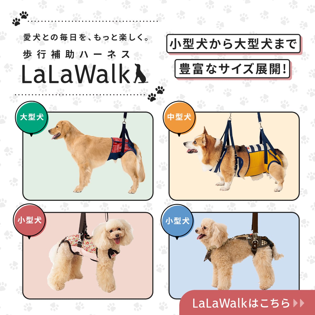 学生服のトンボが愛犬の健康寿命を延ばせるよう、着るだけで血行の促進