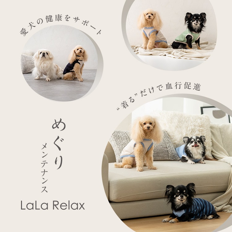 学生服のトンボが愛犬の健康寿命を延ばせるよう、着るだけで血行の促進