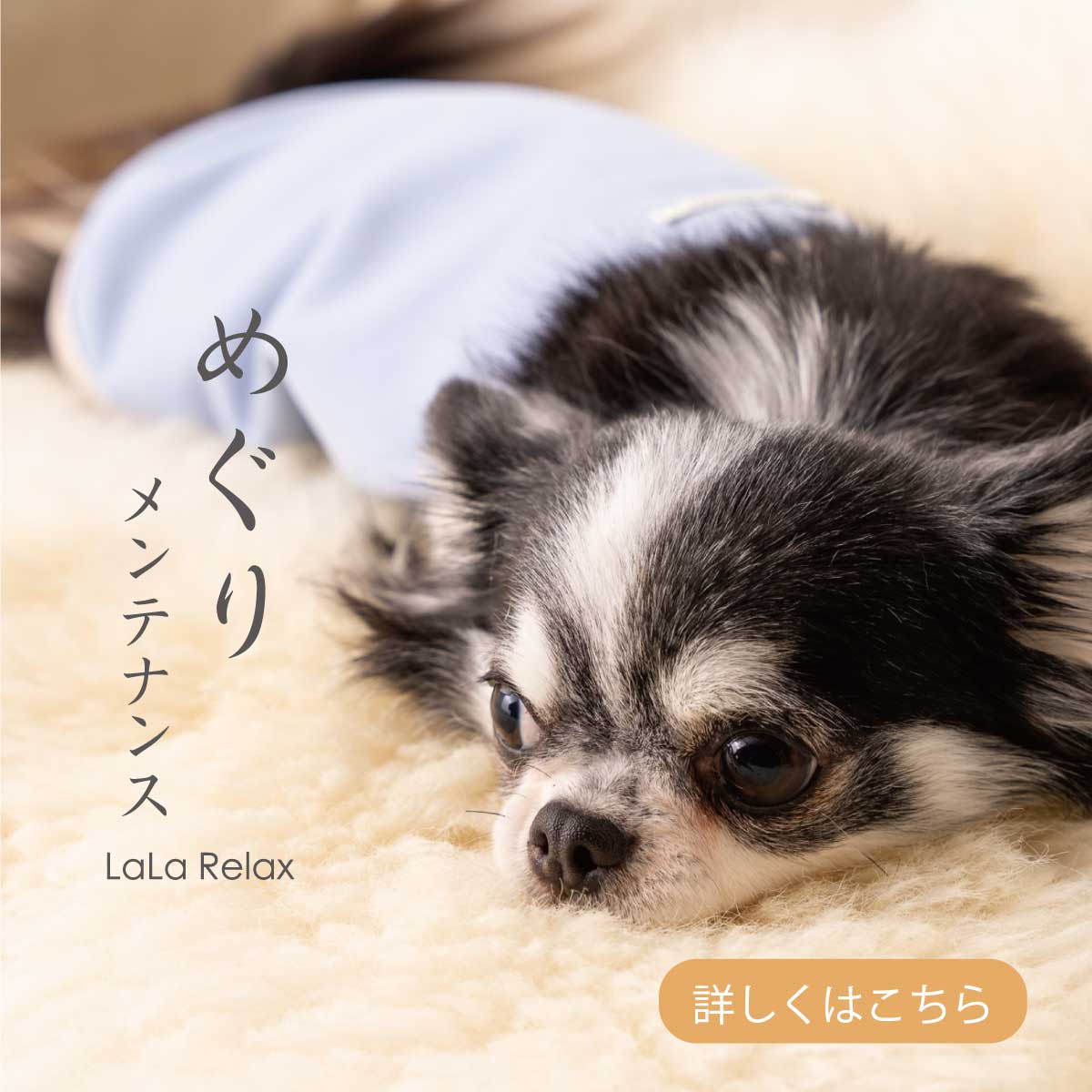 めぐりメンテナンス LaLa Relax