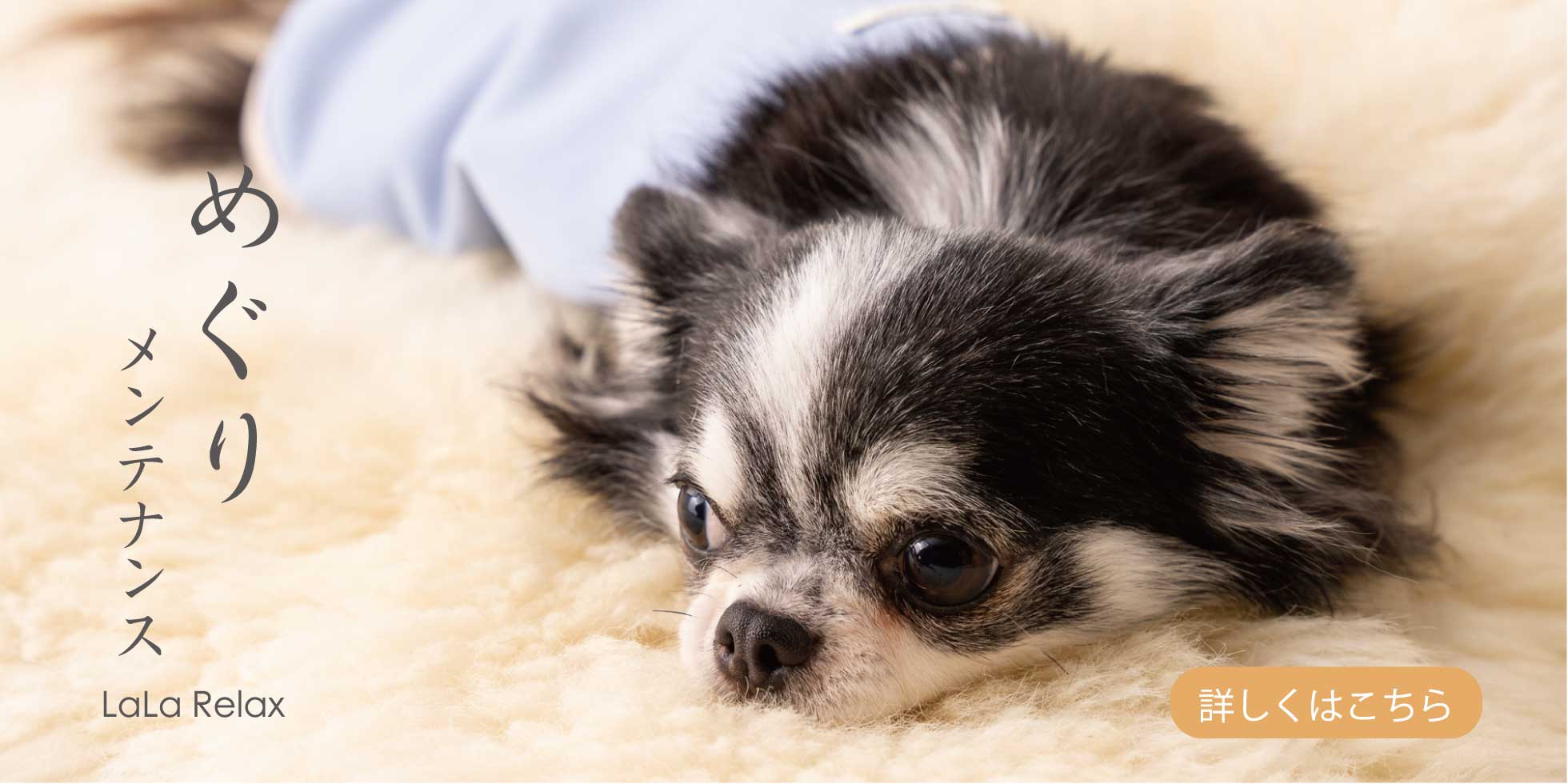 めぐりメンテナンスLaLa Relax