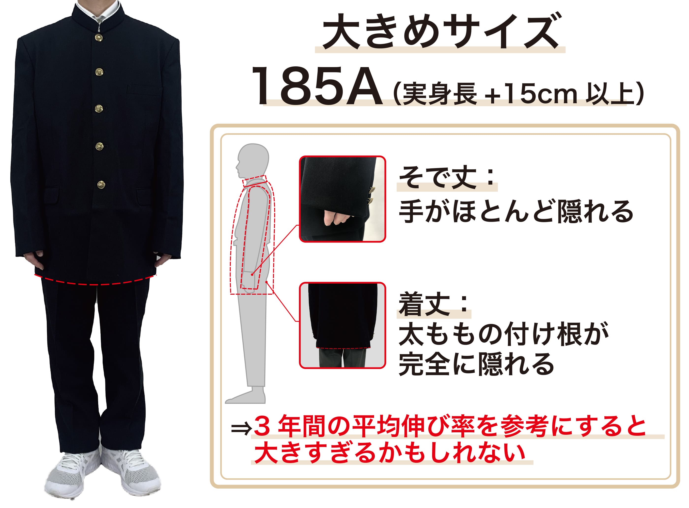 トンボ学生服サイズの選び方: トンボスクール【トンボ公式オンライン